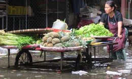 Tiểu thương khốn khổ vì chợ Vinh ngập sâu sau mưa lớn