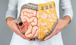 Mỡ nội tạng – nguy hiểm hơn bạn nghĩ!