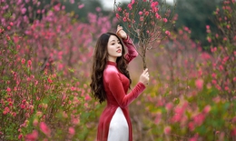 Nhiều băn khoăn về hai phương án nghỉ Tết Nguyên đán Quý Mão 2023