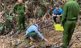 Khởi tố đối tượng dùng thuốc diệt cỏ đầu độc nguồn nước 4 gia đình cùng thôn