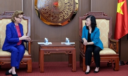 Quyền Bộ trưởng Bộ Y tế Đ&#224;o Hồng Lan tiếp Trưởng Đại diện UNDP tại Việt Nam
