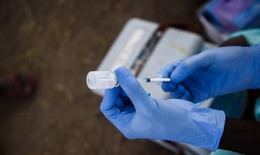 Phát triển vaccine niêm mạc chống lại virus hợp bào hô hấp