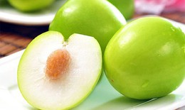 Táo ta - vị thuốc an thần, chữa mất ngủ