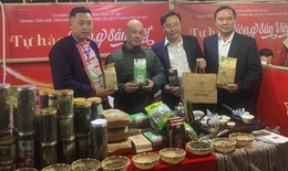 Việt Shan trà, giá trị cốt lõi từ thiên nhiên