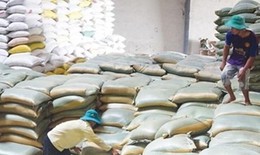 Xuất cấp gạo cho 7 tỉnh dịp Tết Nguyên đán Quý Mão và giáp hạt năm 2023
