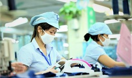 Để nhận được tiền hỗ trợ mất việc, giảm giờ làm người lao động cần làm gì?