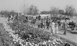Những hình ảnh lịch sử của Tết Quý Mão 1963