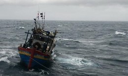 Bình Thuận: Khẩn trương tìm kiếm bốn ngư dân trong vụ chìm tàu cá