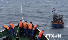 Vụ chìm tàu cá trên biển Bình Thuận: Đã cứu sống được 3 thuyền viên
