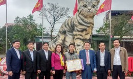 Sau Tết, 'hoa hậu mèo' Quảng Trị sẽ được đấu giá để gây quỹ?
