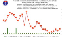 Mùng 7 Tết Quý Mão: Số ca mắc COVID-19 mới cao nhất trong tuần
