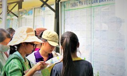 Sinh viên tìm việc giáp Tết: Làm sao để tránh 'sập bẫy' lừa đảo?