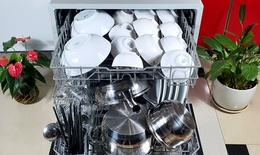 Dư lượng hoá chất sót lại trong máy rửa bát có thể gây hại cho sức khỏe đường ruột?
