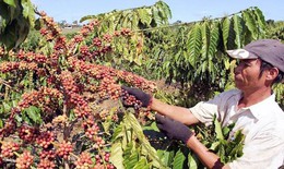 Mô hình 'thay đổi nếp nghĩ, cách làm' của đồng bào theo Chương trình MTQG 1719