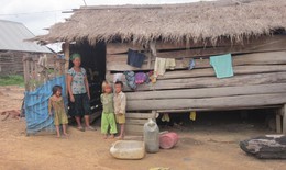 Mô hình nông nghiệp đảm bảo dinh dưỡng giúp trẻ vùng cao không bị còi cọc, suy dinh dưỡng
