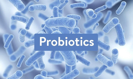 Probiotic gi&#250;p giảm c&#226;n v&#224; mỡ bụng như thế n&#224;o?