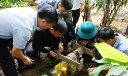 Hà Tĩnh xuất hiện ổ dịch sốt xuất huyết Dengue đầu tiên