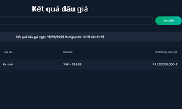 Chuyên gia hiến kế hạn chế tình trạng bỏ cọc biển số xe 'siêu đẹp'