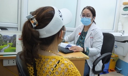 Nhiều người suy thận nặng vì uống cỏ mực chữa bệnh