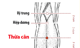 Bị chuột r&#250;t khi ngủ chữa thế n&#224;o?