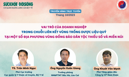 Truyền h&#236;nh trực tuyến: Vai tr&#242; của doanh nghiệp trong chuỗi li&#234;n kết v&#249;ng trồng dược liệu qu&#253; tại một số địa phương v&#249;ng đồng b&#224;o d&#226;n tộc thiểu số v&#224; miền n&#250;i