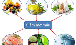 Giảm mỡ m&#225;u bằng c&#225;ch n&#224;o?