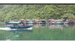 Quảng Ninh cấm phương tiện gắn máy hoạt động tại làng chài Cửa Vạn từ 28/10