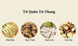 4 bài thuốc hỗ trợ phục hồi di chứng viêm não