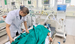 Mèo cắn vào tay, một thợ xây hôn mê phải thở máy
