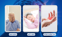 Giải pháp điều trị suy giảm trí nhớ do thiểu năng tuần hoàn não