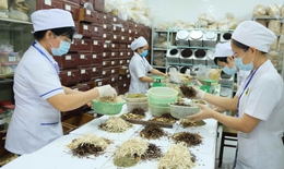 Lai Ch&#226;u ph&#225;t triển y học cổ truyền từ nguồn dược liệu qu&#253; dồi d&#224;o