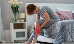 Chuột r&#250;t ban đ&#234;m tại sao?