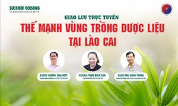 Giao lưu trực tuyến: Thế mạnh v&#249;ng trồng dược liệu tại L&#224;o Cai