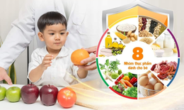 [Inforgraphic] Triển khai nội dung Dự &#225;n 7 trong ph&#242;ng chống suy dinh dưỡng trẻ em ở Nghệ An