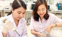 Gặp gỡ nữ giáo sư duy nhất ngành Y vừa được công nhận năm 2023