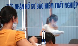 Ban h&#224;nh danh mục dịch vụ sự nghiệp c&#244;ng sử dụng Quỹ bảo hiểm thất nghiệp