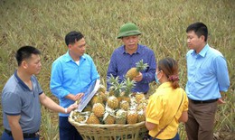 Tập huấn n&#226;ng cao năng lực cho c&#225;n bộ triển khai Chương tr&#236;nh MTQG 1719 ở c&#225;c cấp
