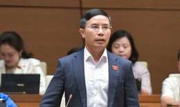 ĐBQH: Tình trạng thông đồng, 'quân xanh, quân đỏ' trong đấu giá ngày càng tinh vi, phức tạp