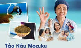 Tăng cường sức khỏe với chế độ dinh dưỡng l&#224;nh mạnh c&#243; chứa Fucoidan