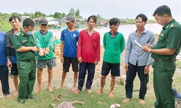Kịp thời cứu vớt nhiều thuyền viên trôi dạt trên biển