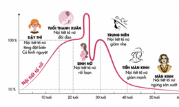 3 b&#224;i thuốc trị rối loạn hay gặp giai đoạn tiền m&#227;n kinh