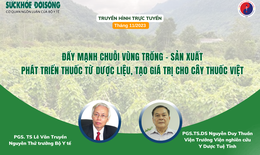 Truyền hình trực tuyến: Đẩy mạnh chuỗi vùng trồng-sản xuất, phát triển thuốc từ dược liệu, tạo giá trị cho cây thuốc Việt