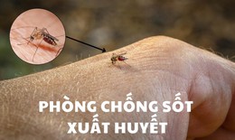 Cảnh b&#225;o dịch sốt xuất huyết b&#249;ng ph&#225;t tại thời điểm giao m&#249;a