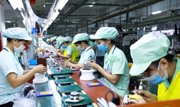 TPHCM cần tuyển khoảng 80.000 lao động cuối năm