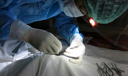 Người đàn ông 50 tuổi thoát cảnh đau đớn, mù lòa nhờ được ghép giác mạc tại BV Mắt Trung ương