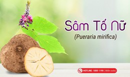 5 dược liệu hỗ trợ tăng cường nội tiết tố, tốt cho phụ nữ
