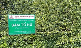 Sản phẩm hỗ trợ tăng cường nội tiết thời kỳ tiền m&#227;n kinh, m&#227;n kinh