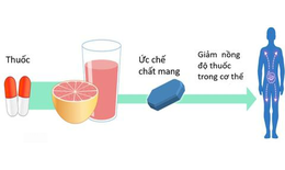 7 loại thuốc phổ biến kh&#244;ng d&#249;ng c&#249;ng nước &#233;p bưởi hoặc ăn bưởi