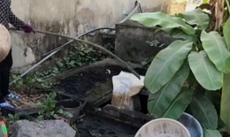 Diễn biến mới nhất vụ hài cốt được phát hiện trong bể phốt ở Hải Phòng