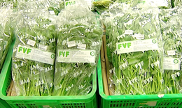 Rau, thực phẩm gắn m&#225;c ‘sạch’ liệu c&#243; đảm bảo an to&#224;n thực phẩm dịp cuối năm